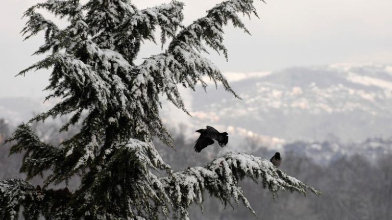 В Сочи объявили штормовое предупреждение из-за снегопада в горах
